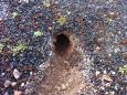 IMG-20170315-WA0006