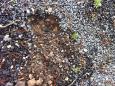IMG-20170315-WA0007