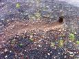 IMG-20170315-WA0008