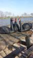 IMG-20170329-WA0004