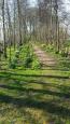 IMG-20170329-WA0005