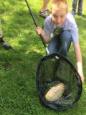 IMG 1334
