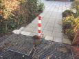 IMG-20181118-WA0016