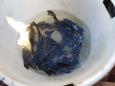 IMG-20181118-WA0003