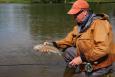 M Foto 03b Forel De Kool