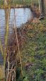 IMG-20200207-WA0001