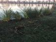 IMG-20200207-WA0002