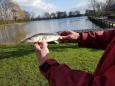 IMG-20200219-WA0003