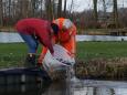 IMG-20200219-WA0004