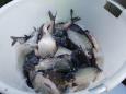 IMG-20200219-WA0008