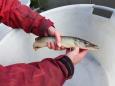 IMG-20200219-WA0002
