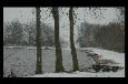 DSC_8212.JPG