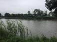 IMG-20210820-WA0001.jpg