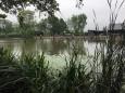 IMG-20210820-WA0002.jpg