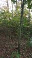 IMG-20211027-WA0003.jpg