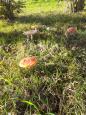 IMG-20211027-WA0002.jpg